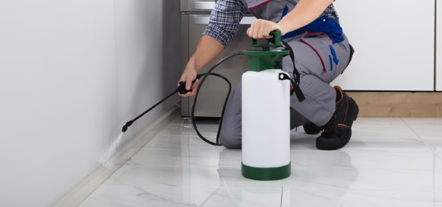 Exterminador de cinches en Ohio